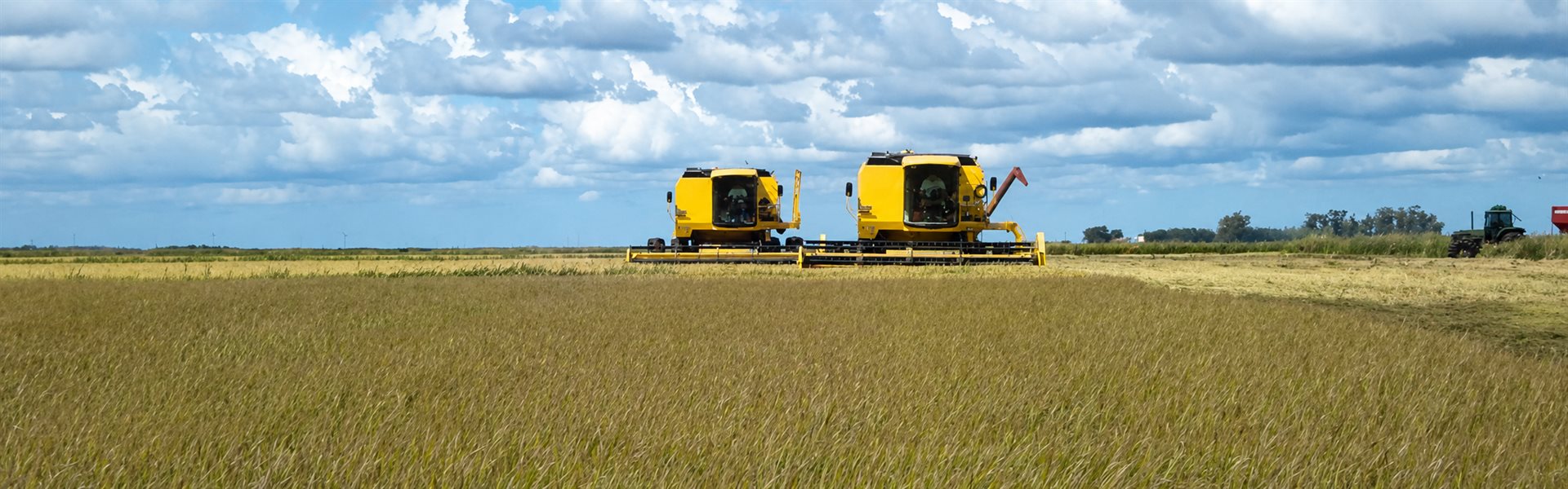 Duas colheitadeiras trabalhando lado a lado em uma lavoura de arroz sob céu de verão